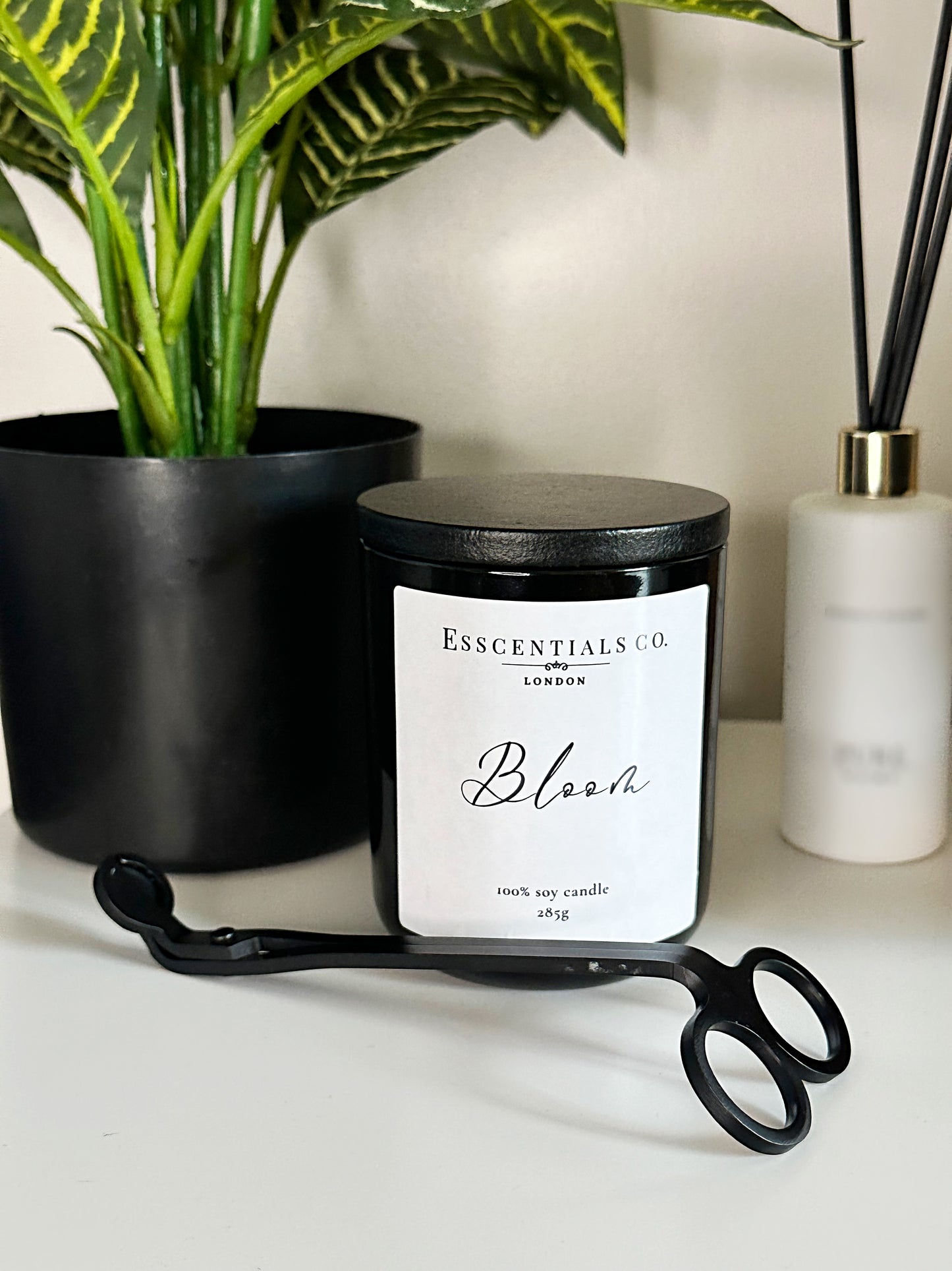 Bloom | Cherry & Rhubarb Candle| The Esscential Collection - Esscentials Co. 